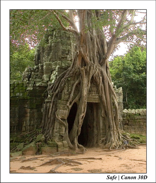 2006 - 07 - Temple angkor - Ta Som 25